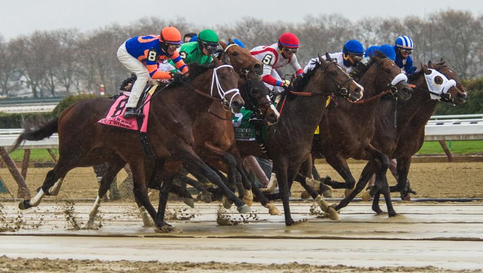 Photo: wood memorial horse race