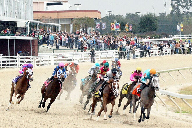 Photo: american horse race tracks