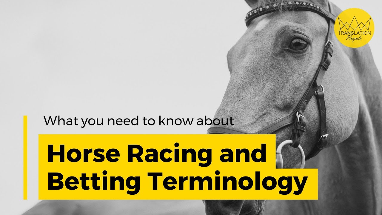 Photo: horse betting terminology