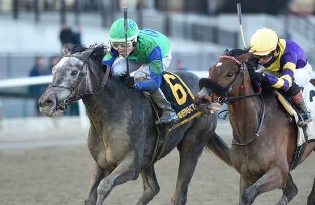 Photo: belmont stakes undercard