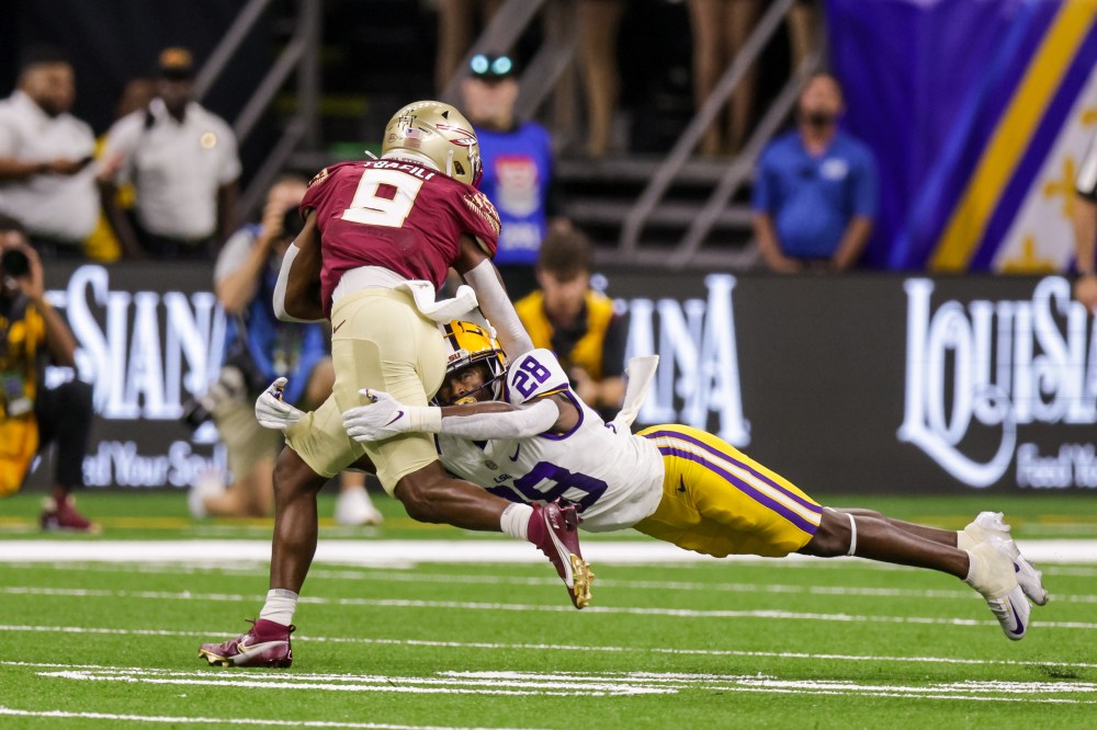 Photo: lsu florida state line