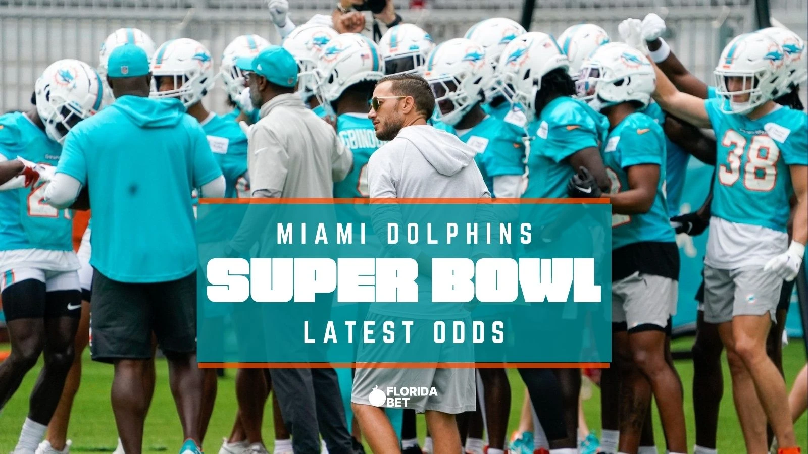 Photo: odds for dolphins to win super bowl