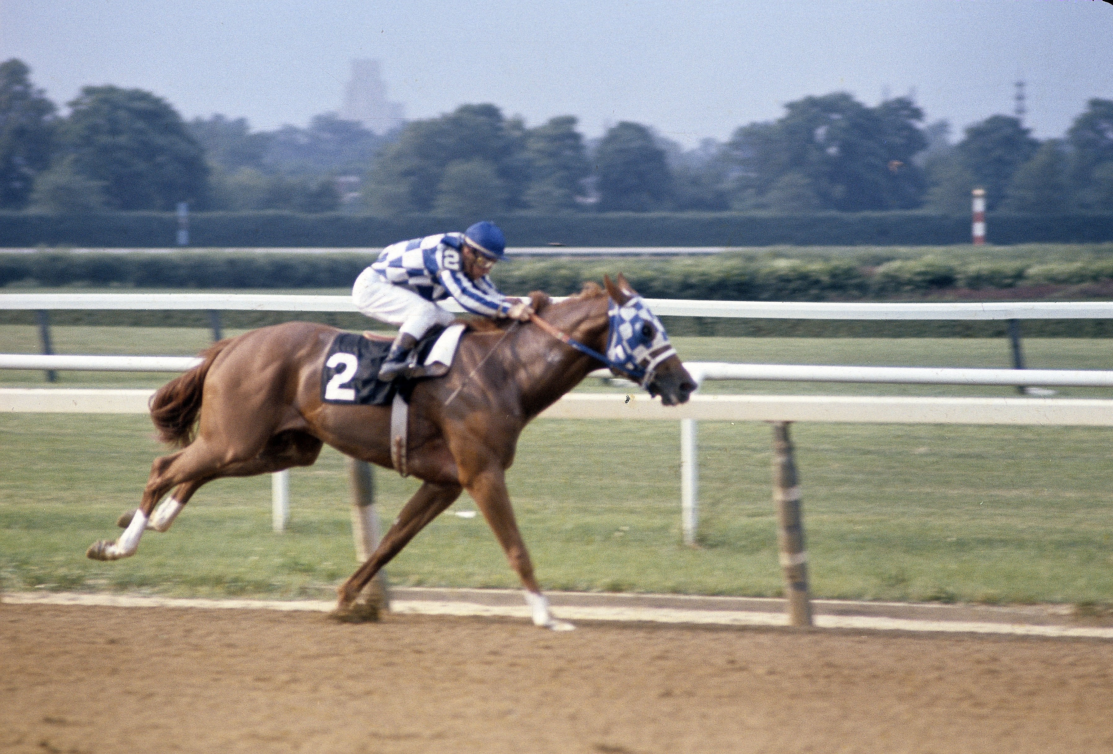 Photo: the races of the triple crown