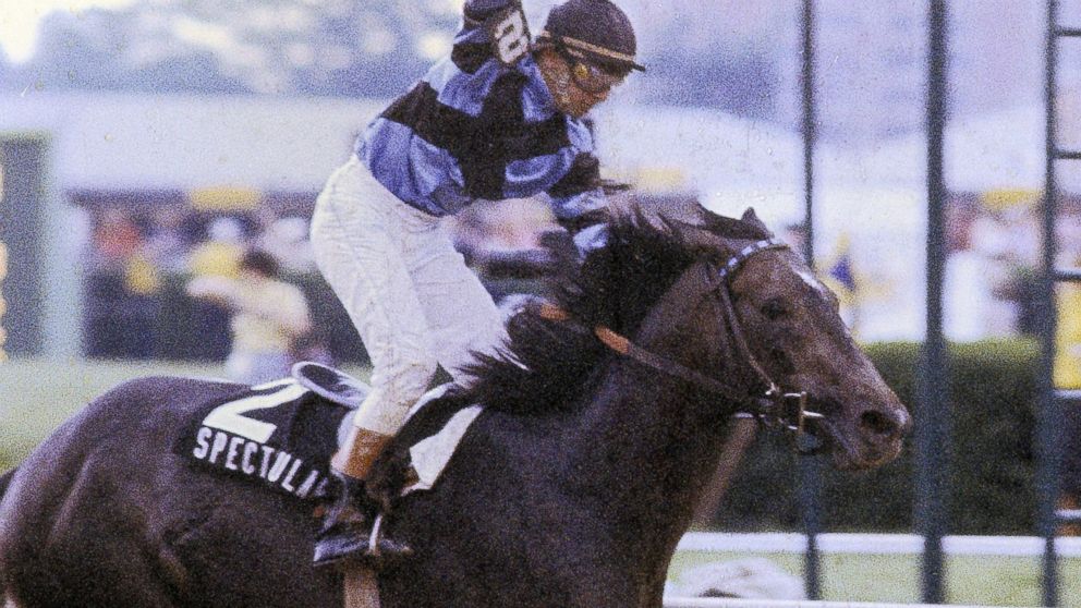 Photo: horse that almost won triple crown