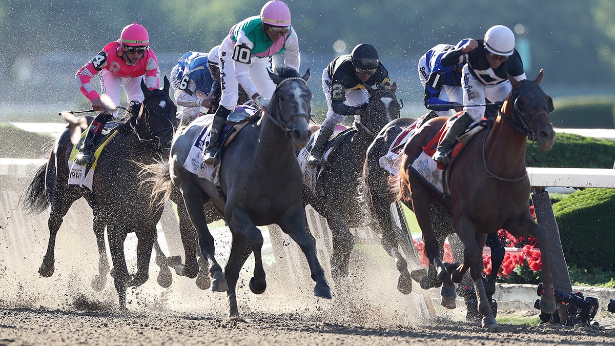 Photo: how to place a bet on the belmont stakes