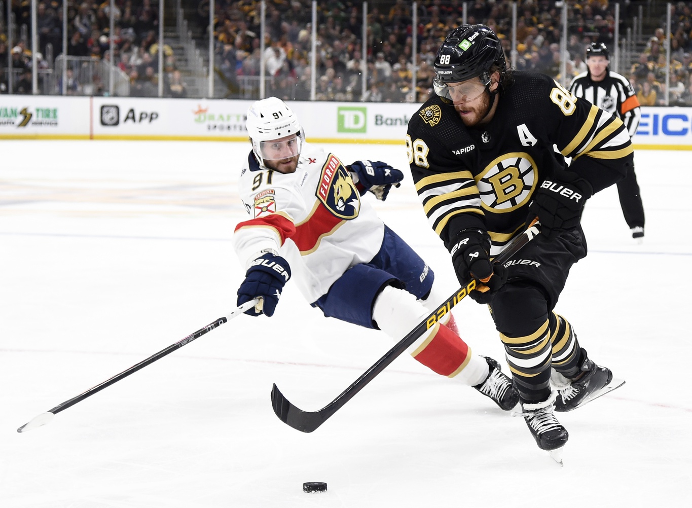 Photo: senators vs bruins prediction