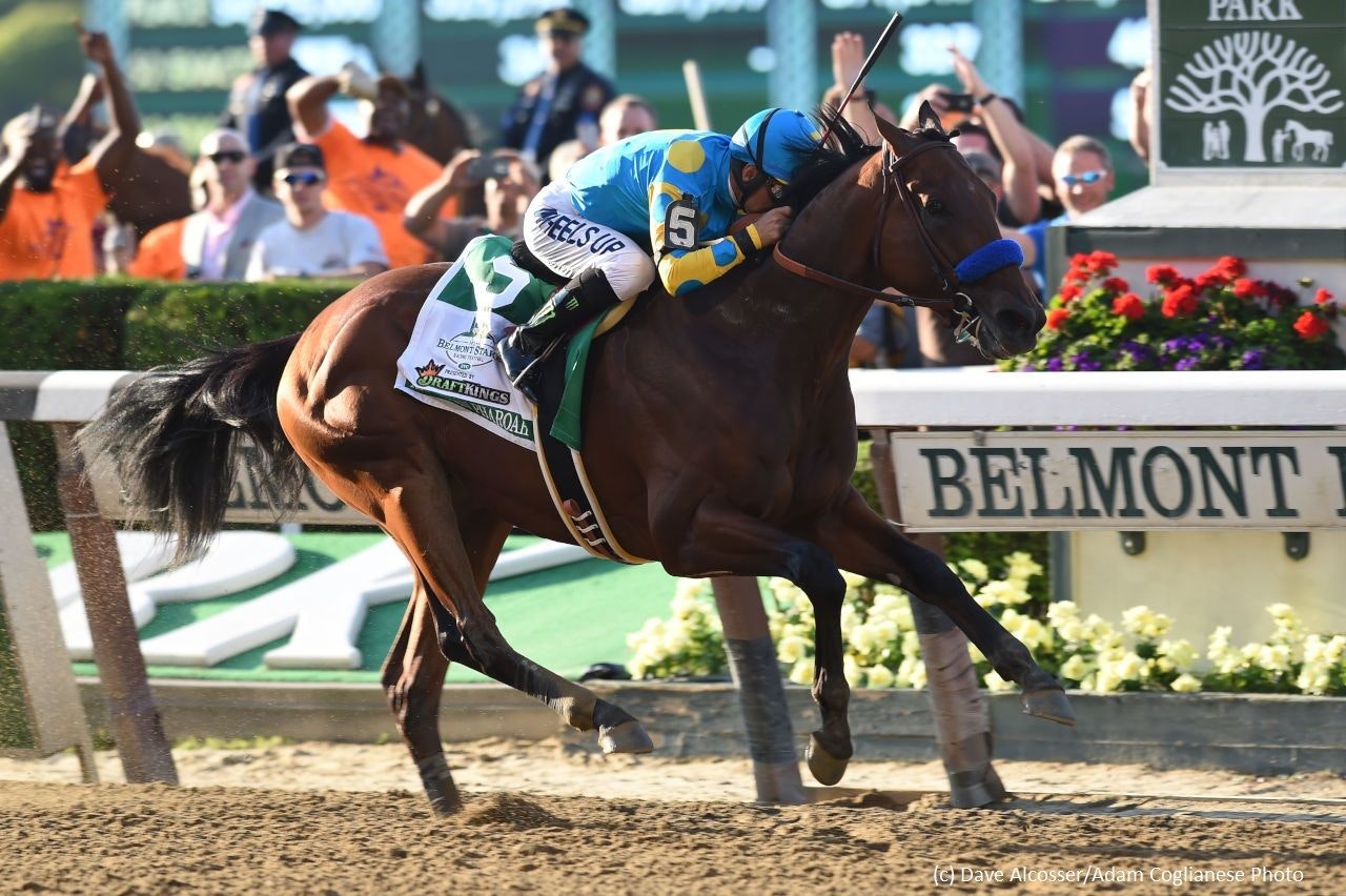 Photo: belmont live odds