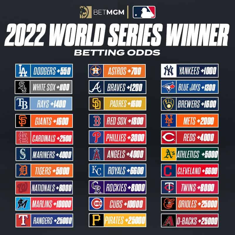 Photo: cardinals odds to win world series