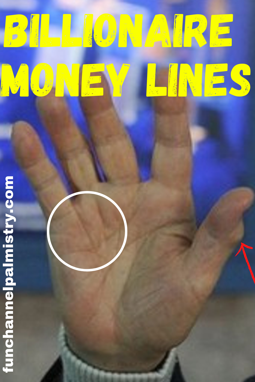 Photo: money line