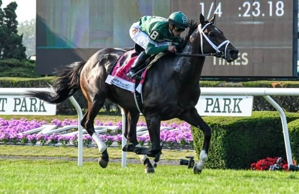 Photo: belmont stakes undercard