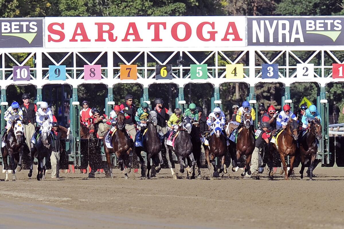 Photo: saratoga race season 2024