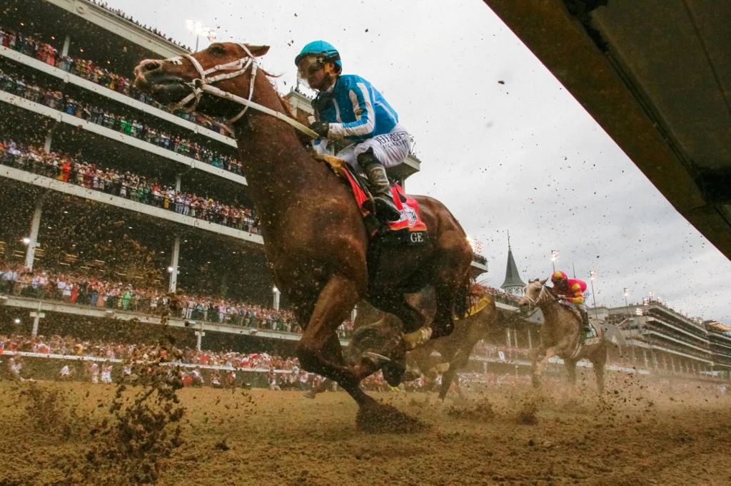 Photo: preakness picks and predictions