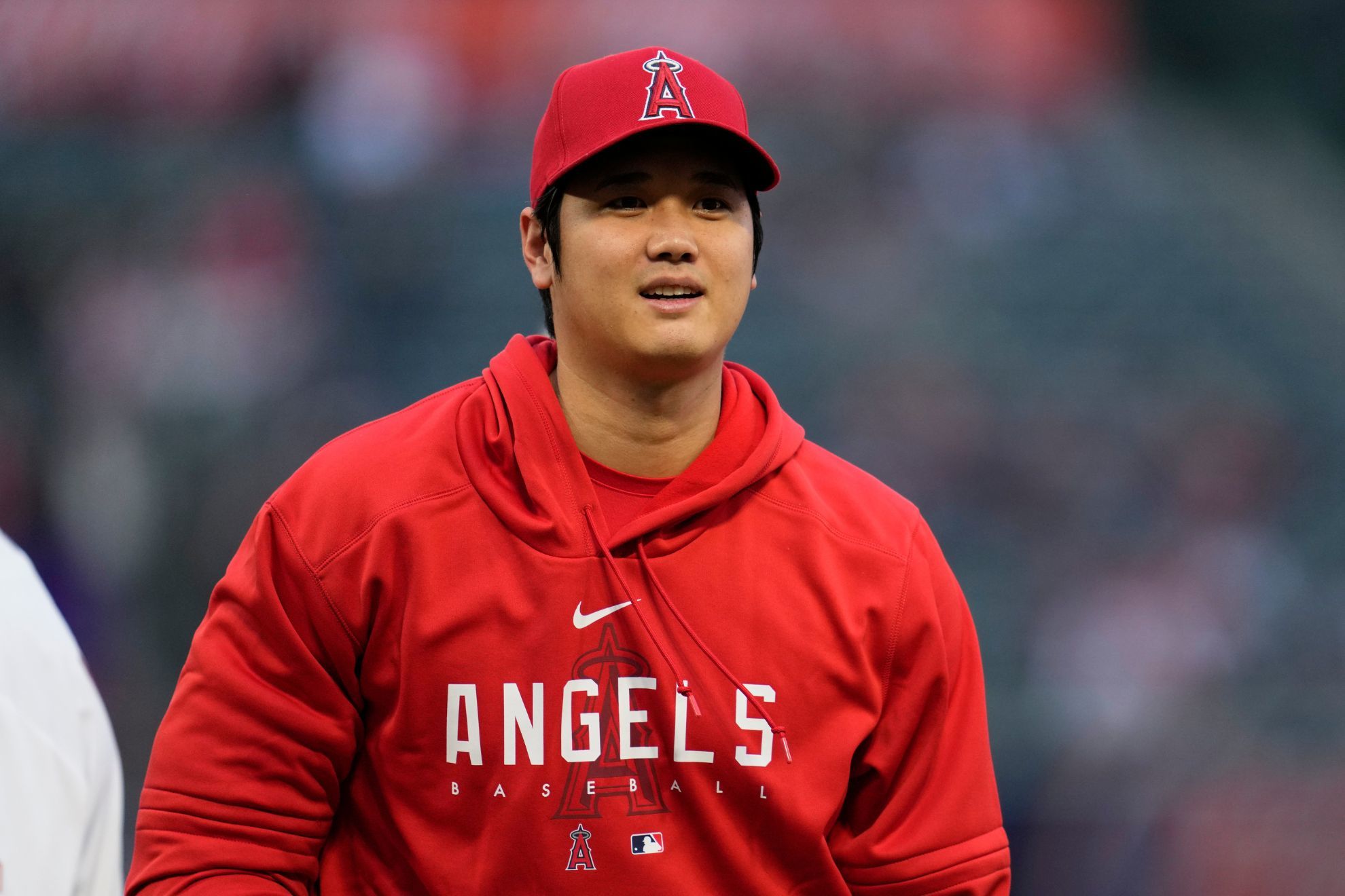 Photo: odds to sign shohei