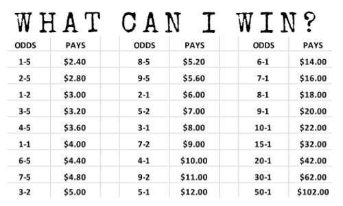 Photo: us racing odds