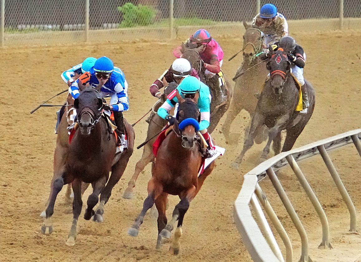 Photo: wagering on the preakness