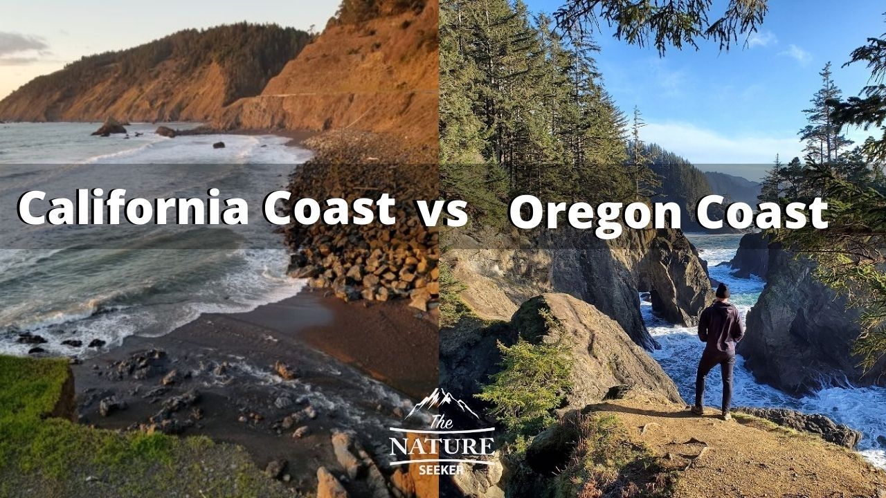 Photo: california versus oregon