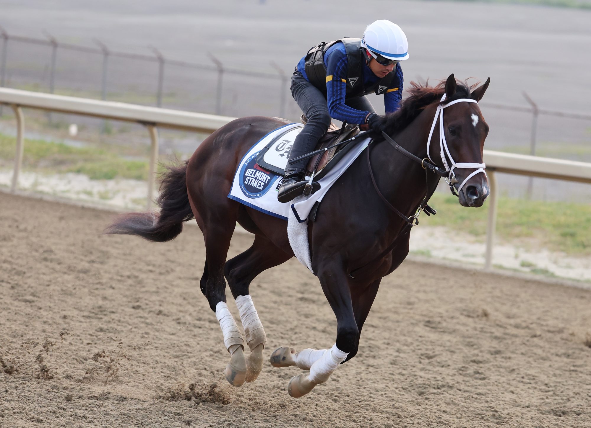 Photo: belmont race picks