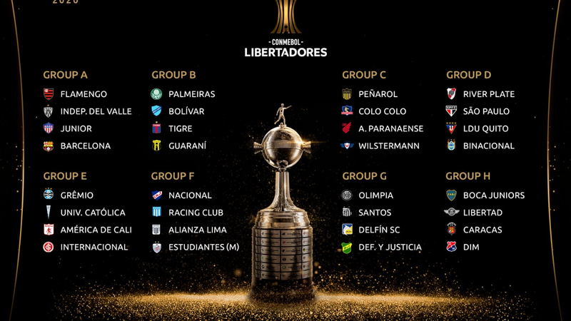 Photo: copa liobertadores