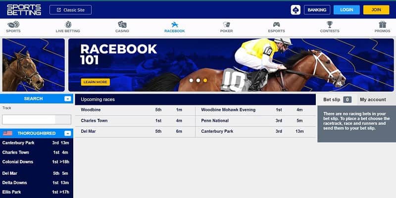 Photo: horse betting sites