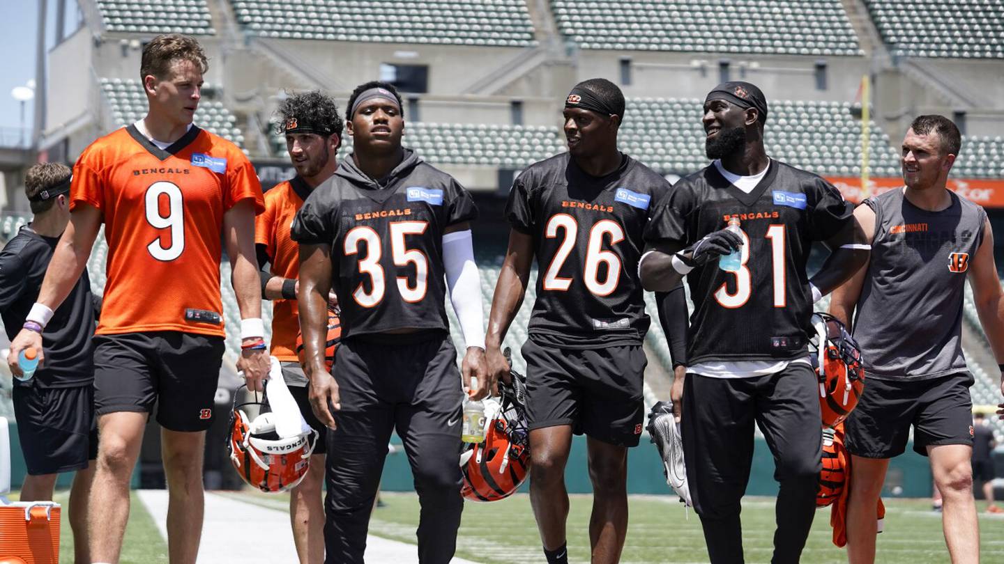 Photo: cincinnati bengals roster