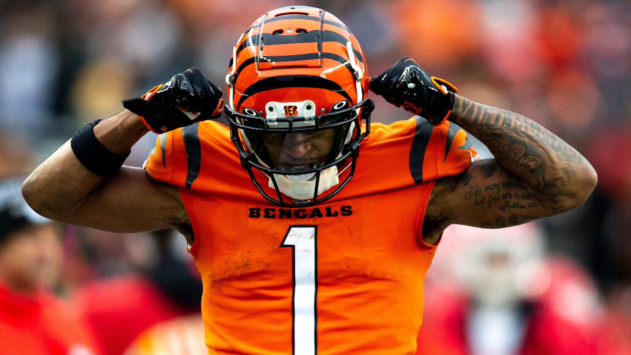 Photo: are the bengals winning