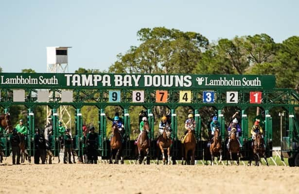 Photo: tampa bay horse racing picks