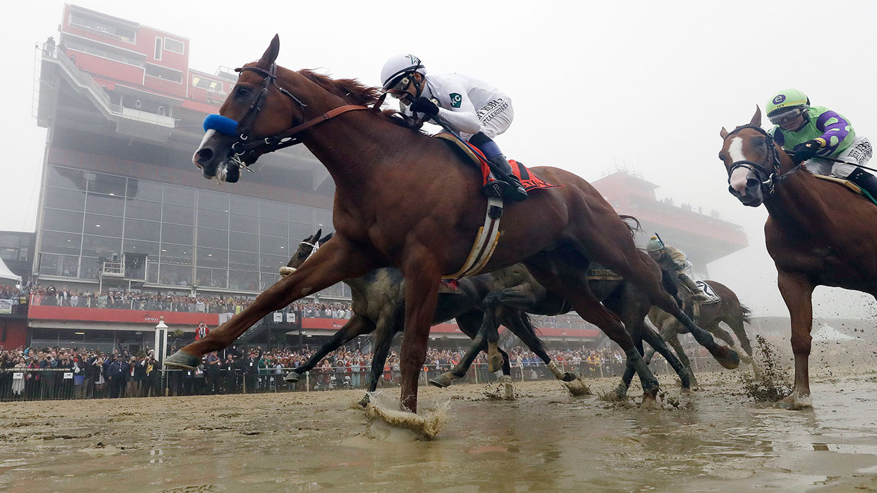 Photo: horse racing sport of kings