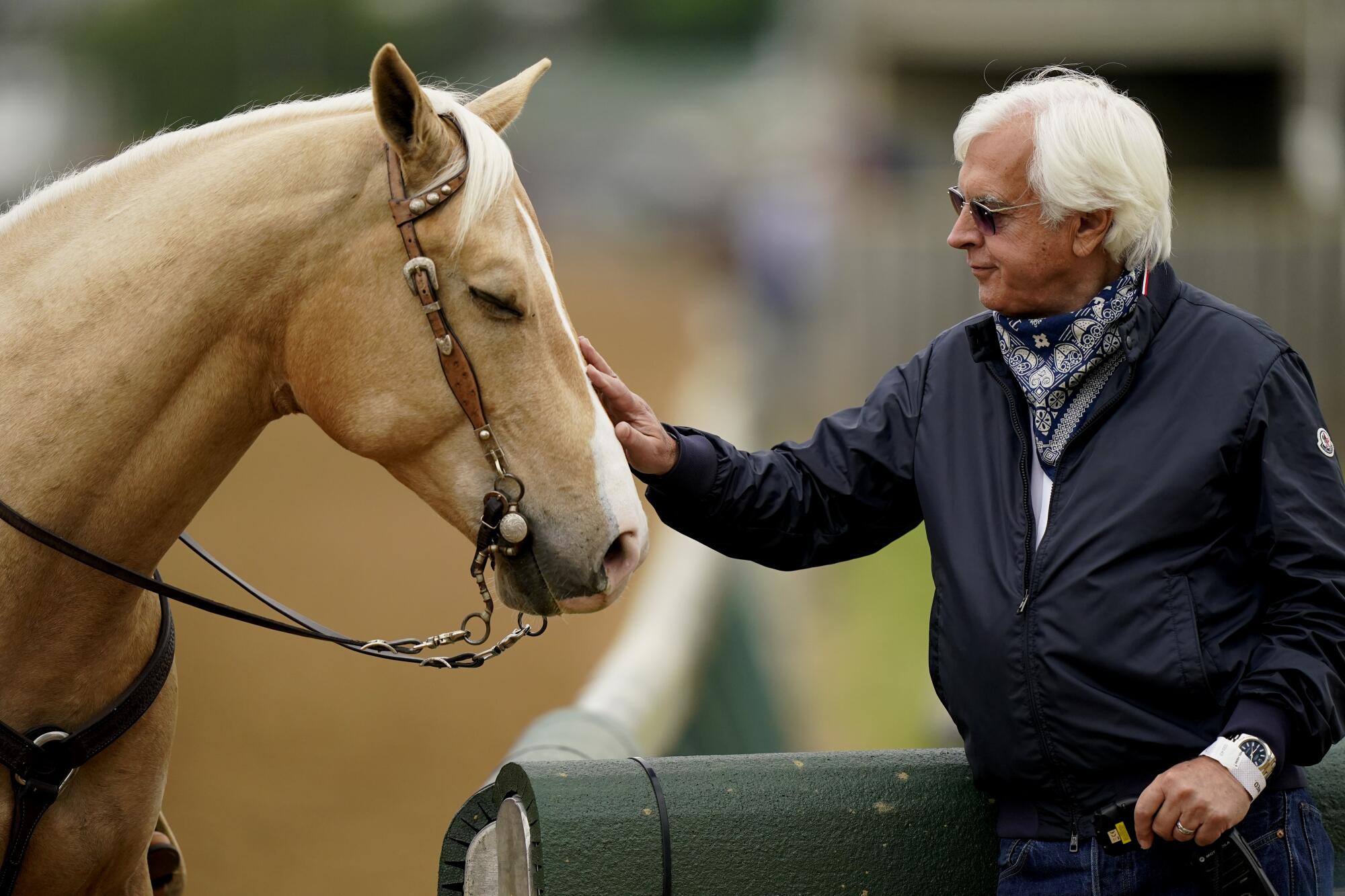 Photo: horse racing trainers