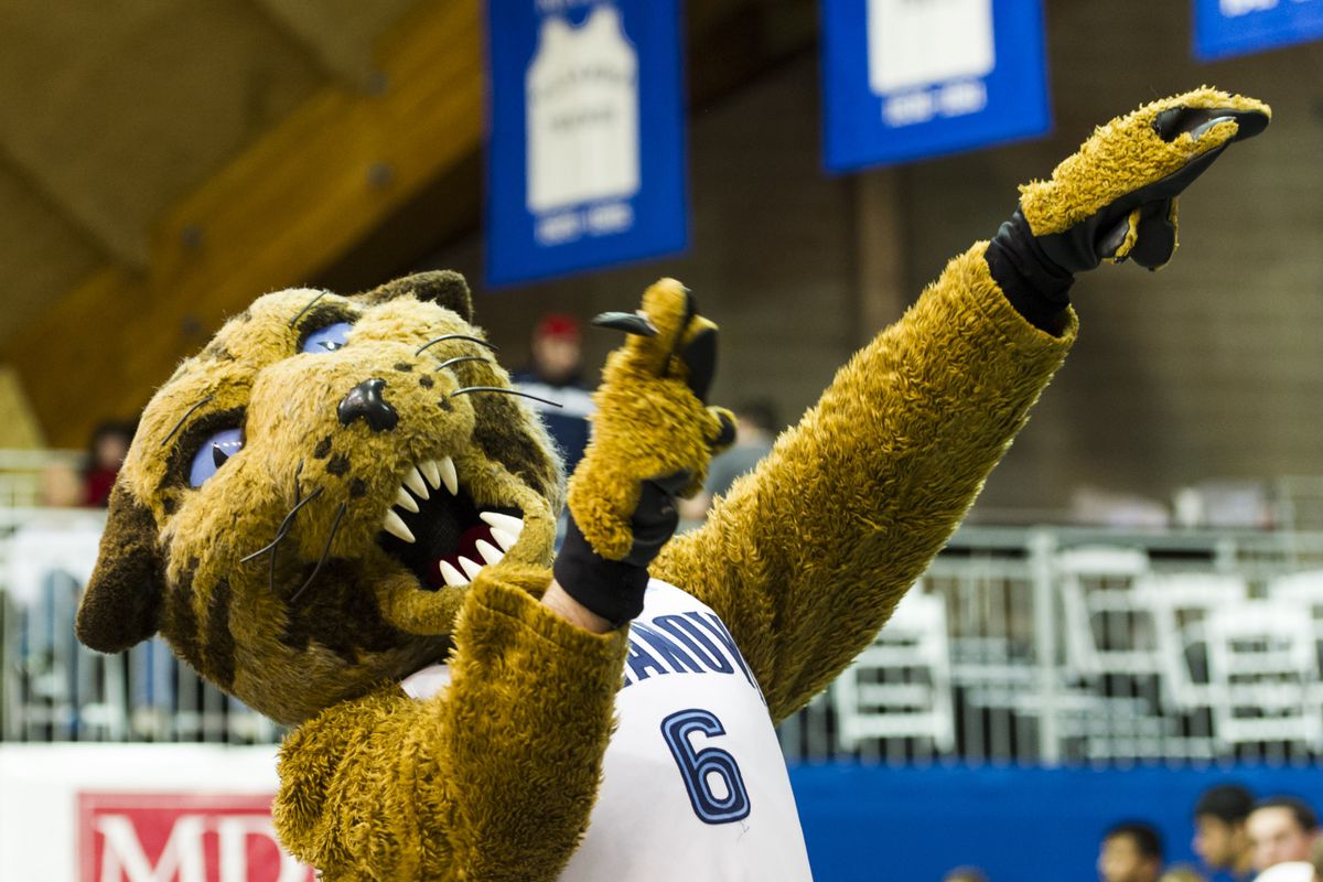 Photo: most common ncaa mascot