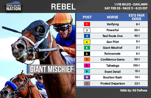 Photo: rebel stakes odds