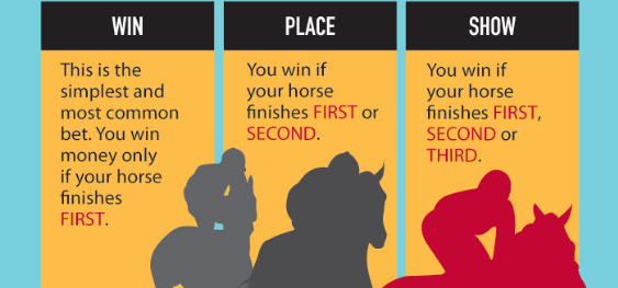 Photo: betting terminology horse racing