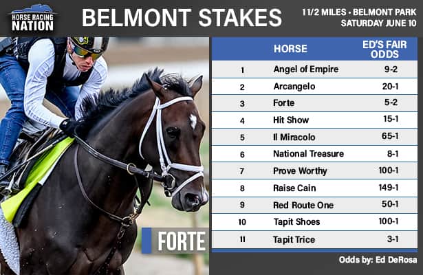 Photo: belmont horses and odds