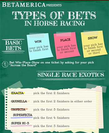 Photo: horse racing gambling terms