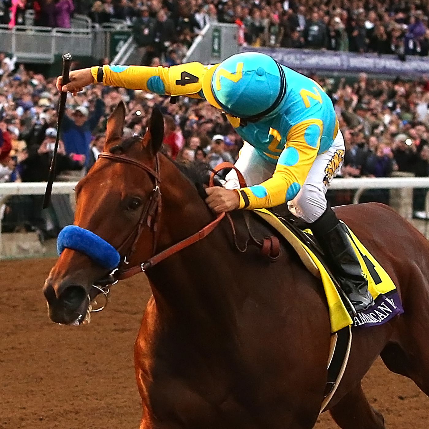 Photo: horse race triple crown