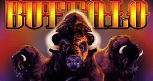 Photo: play buffalo slots free