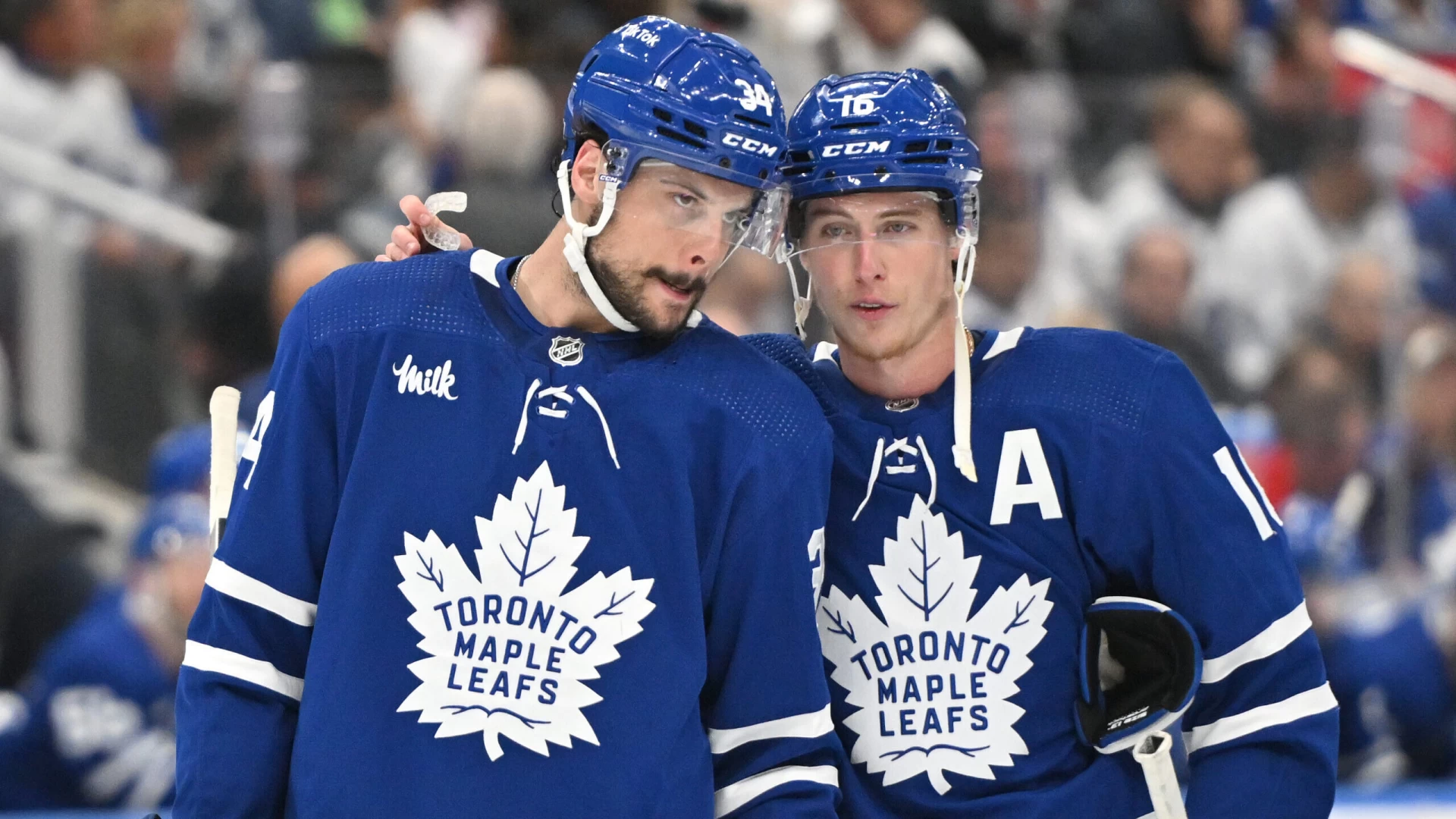 Photo: toronto maple leafs odds