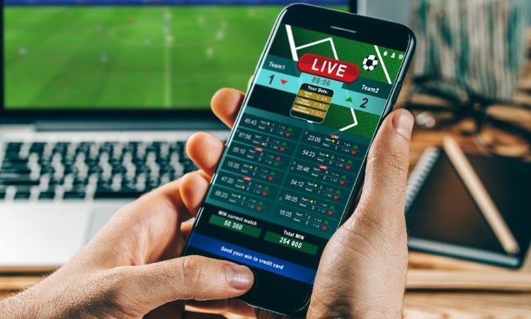 Photo: live sports betting