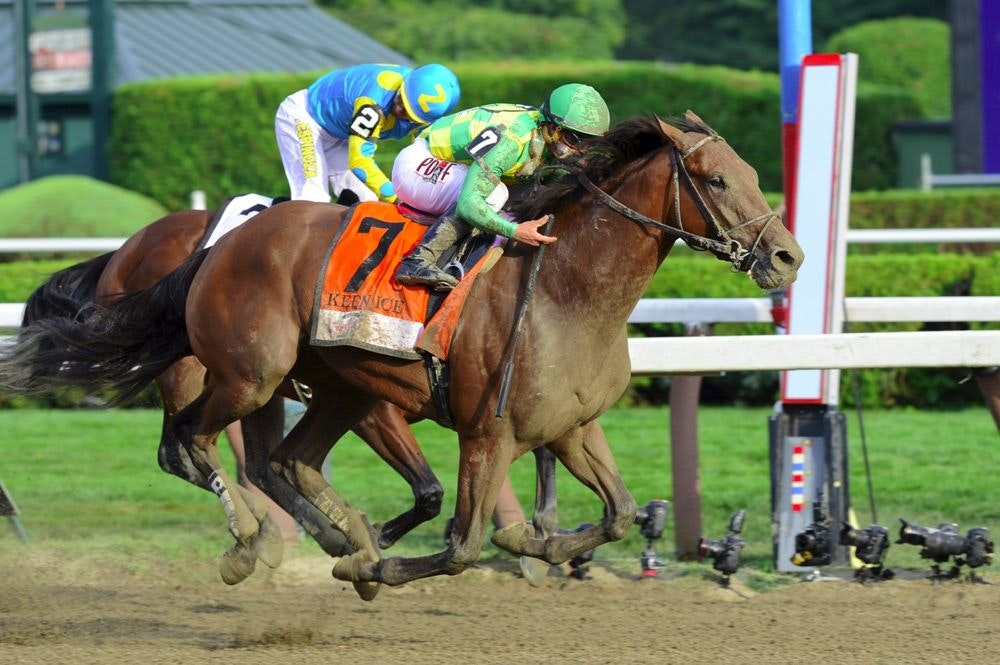 Photo: horse racing pick 3