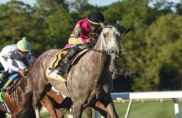 Photo: where did tapit trice finish
