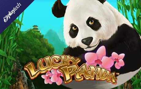 Photo: lucky panda casino