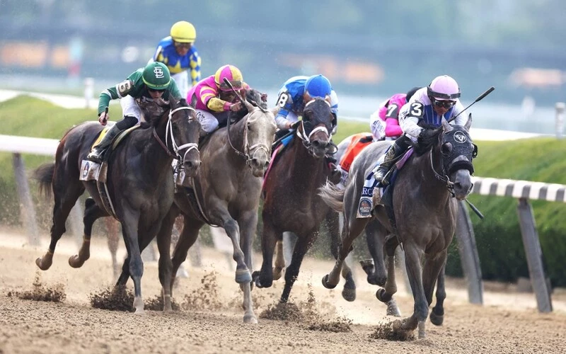 Photo: travers stakes odds