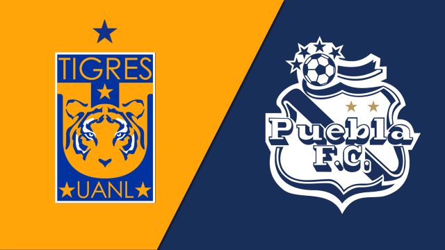 Photo: puebla vs tigres uanl