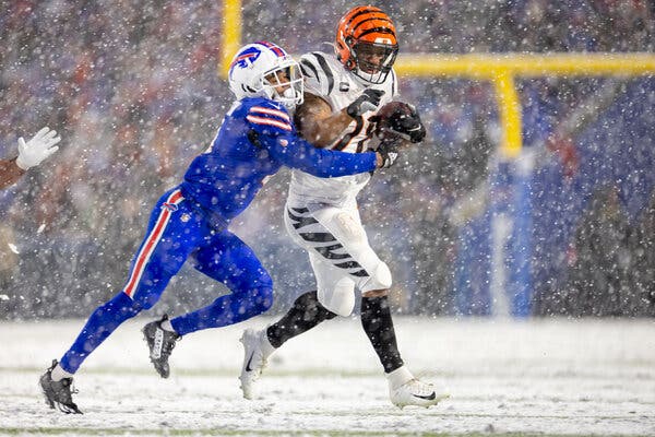 Photo: bengals bills line