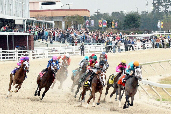 Photo: best horse racing tracks in usa