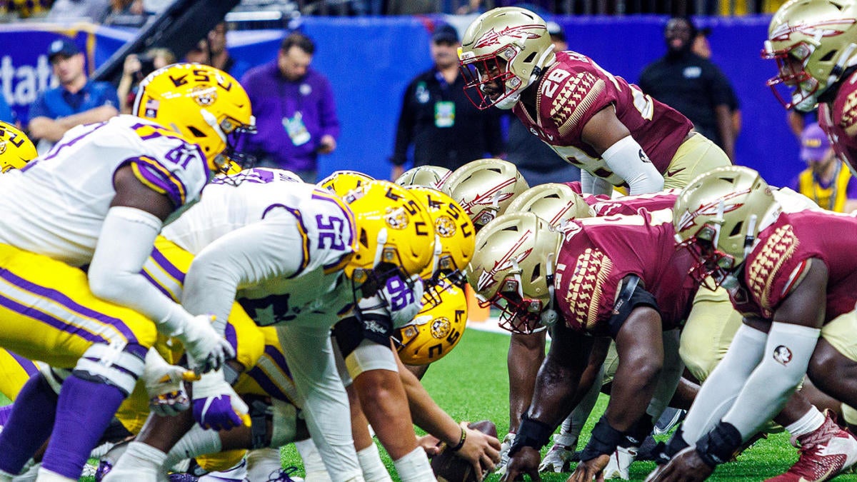 Photo: lsu florida state line