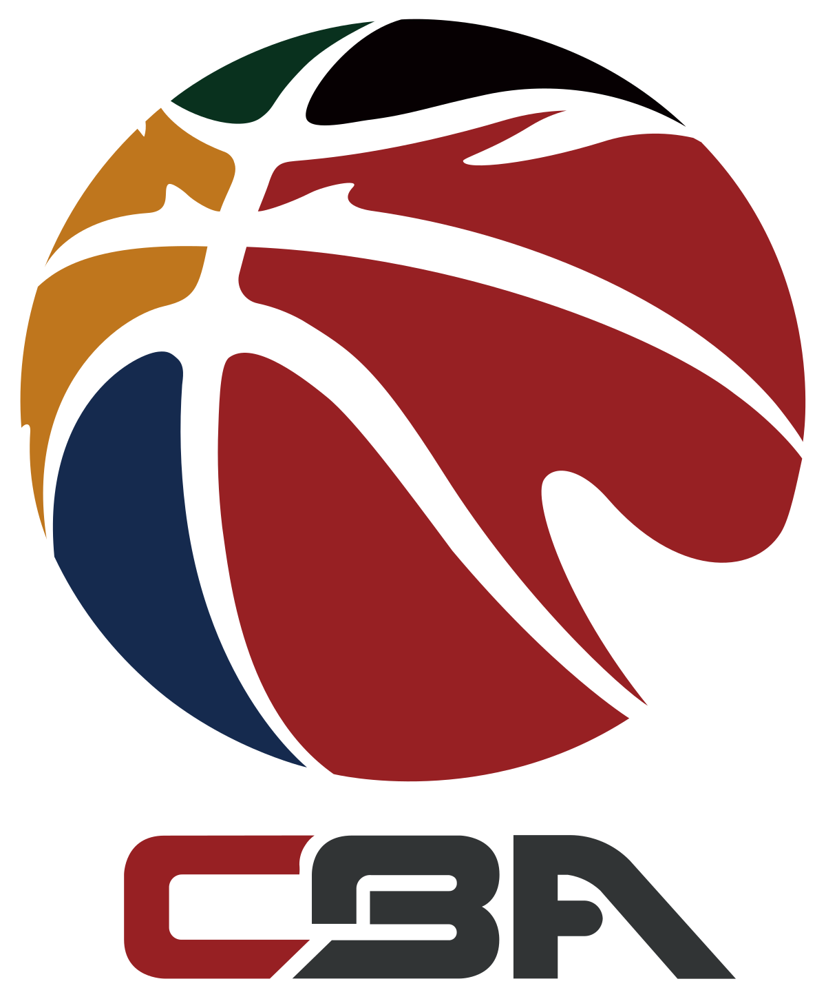 Photo: china cba basketball