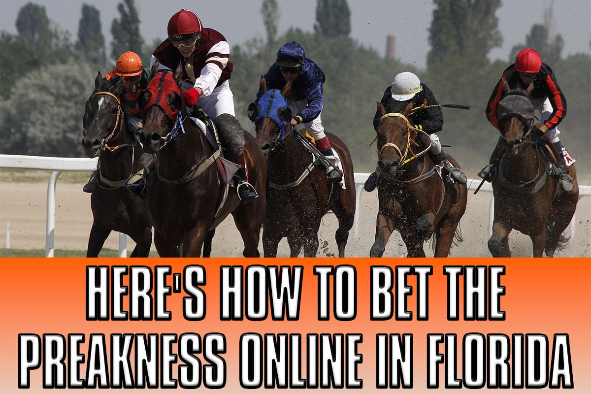 Photo: how to bet on preakness online
