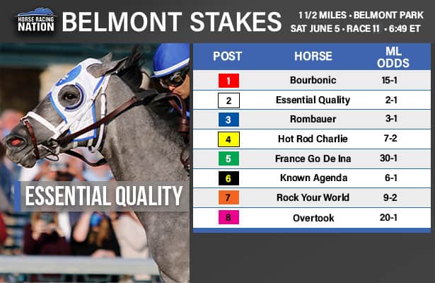 Photo: belmont horses and odds