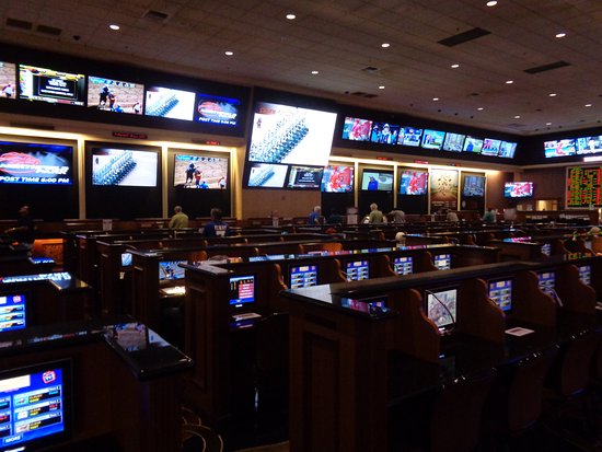 Photo: suncoast sportsbook hours