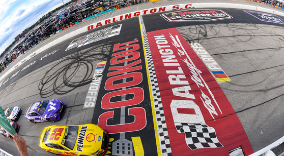Photo: cook out southern 500 predictions
